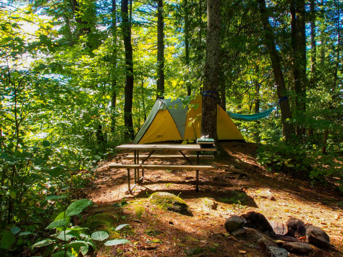 campsite with yellow tent and picnic table surrounded by trees