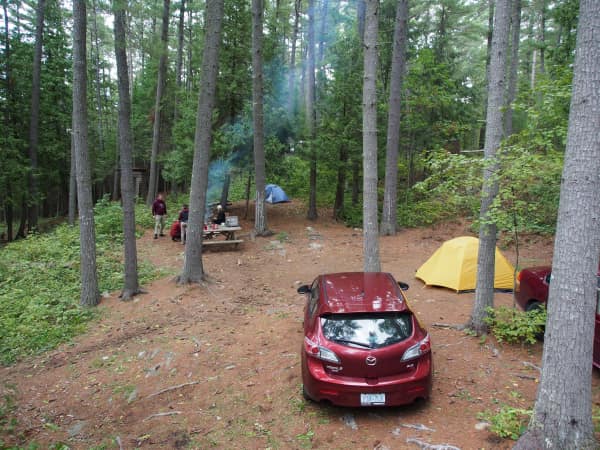 very large serviced campsite suitable for tenting and surrounded by forest.