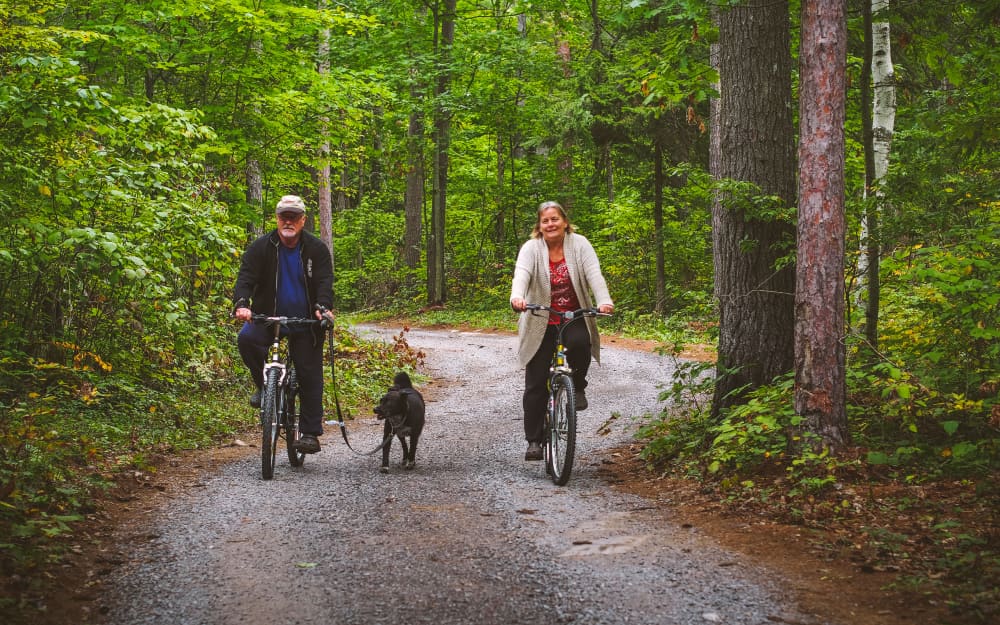 couple with dog riding bicycles in campground