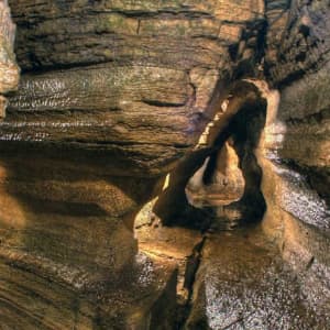 Limestone structures in Bonnechere Caves Eganville