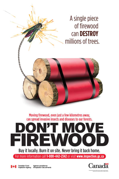 warning to campers not to bring firewood into the park