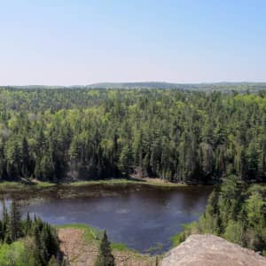 Lookout view of forest and lake